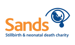 sands logo